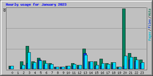 Hourly usage for January 2023